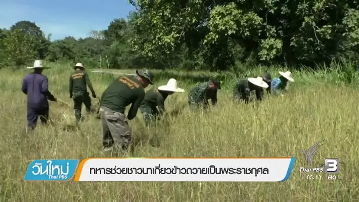 ประเด็นข่าว (31 ต.ค. 59)