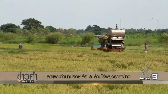 ประเด็นข่าว (4 พ.ย. 59)