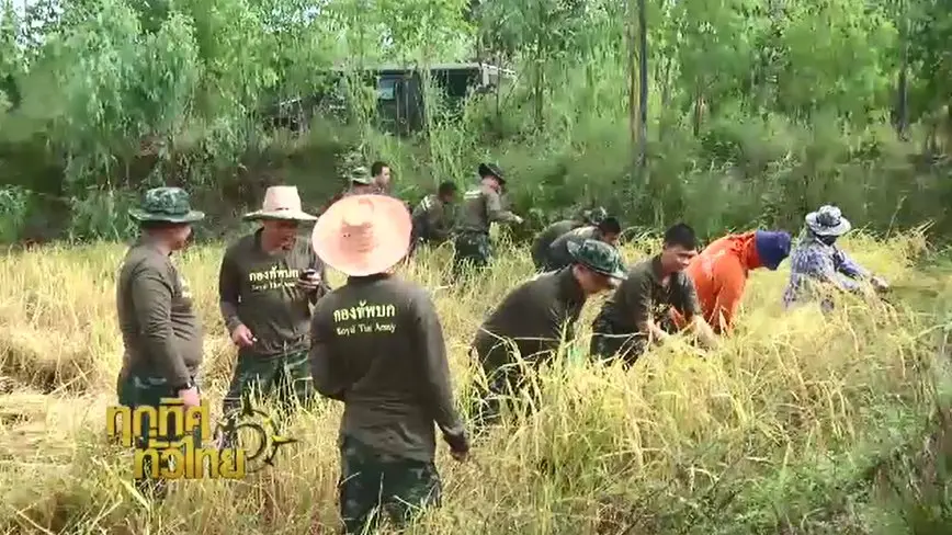 ประเด็นข่าว ( 8 พ.ย. 59)