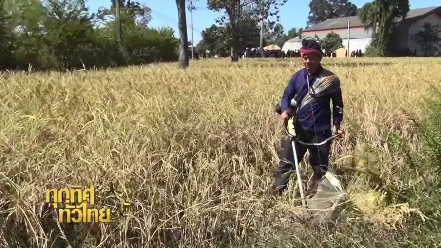 ประเด็นข่าว ( 21 พ.ย. 59)