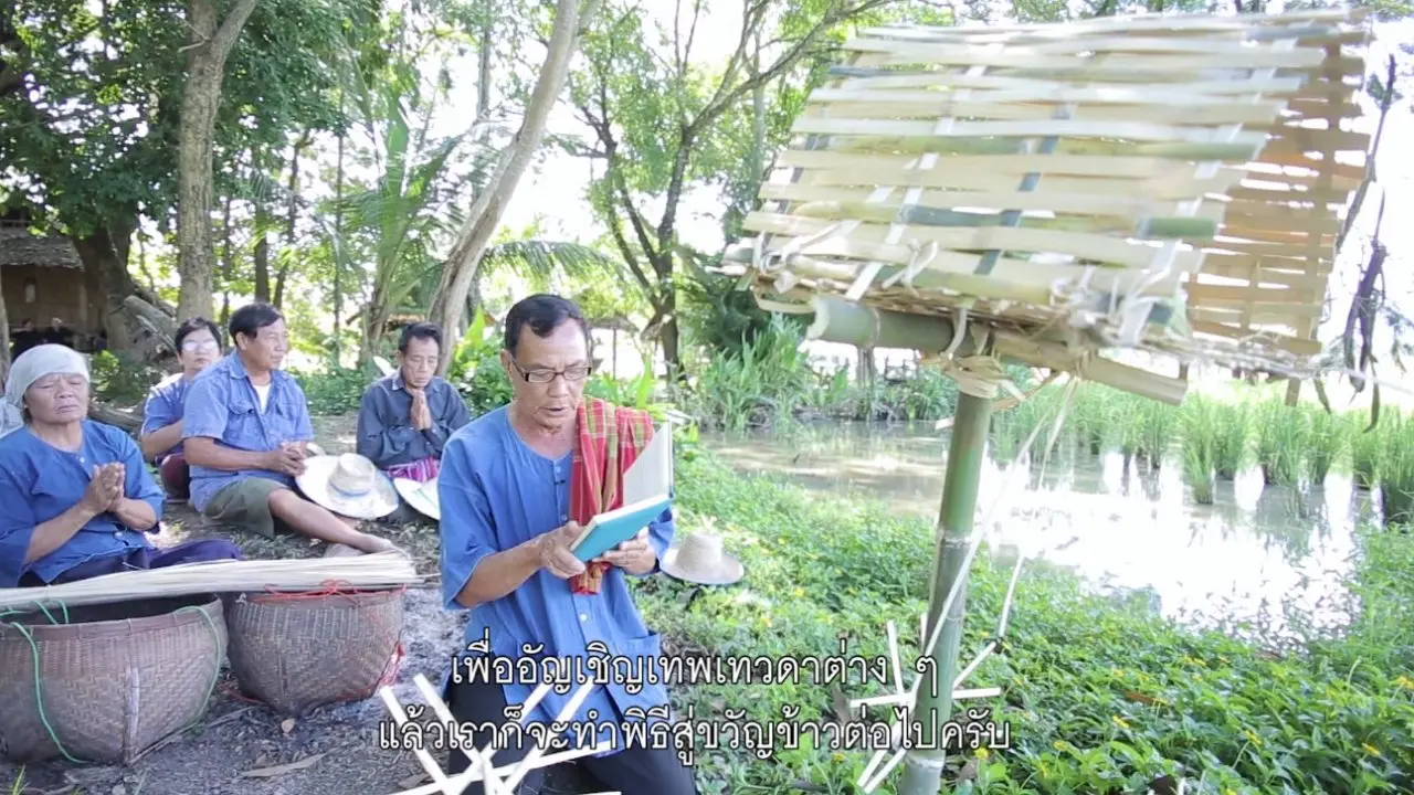พิธีสู่ขวัญข้าว