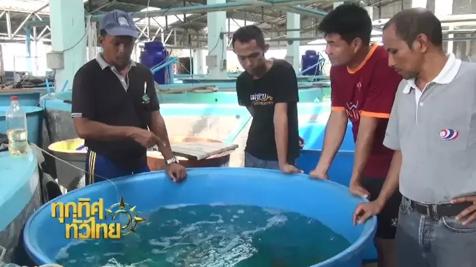 ประเด็นข่าว ( 6 ก.พ. 60)