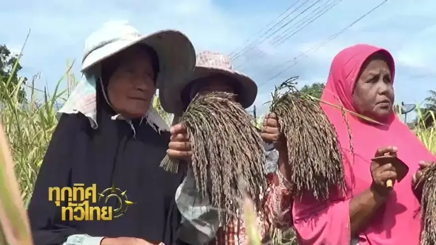 ประเด็นข่าว ( 14 ก.พ. 60)