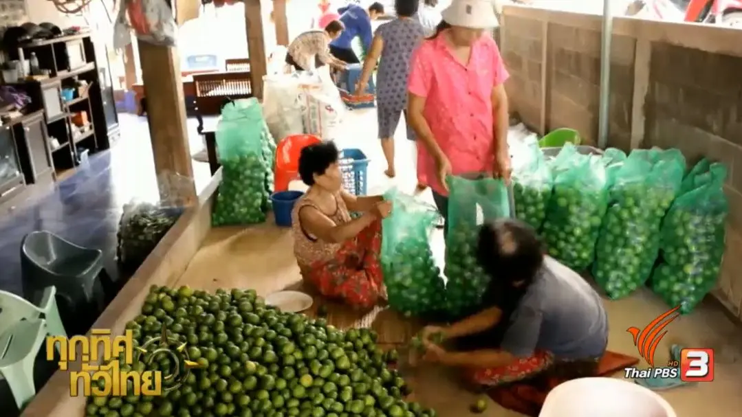 ประเด็นข่าว ( 17 ก.พ. 60)