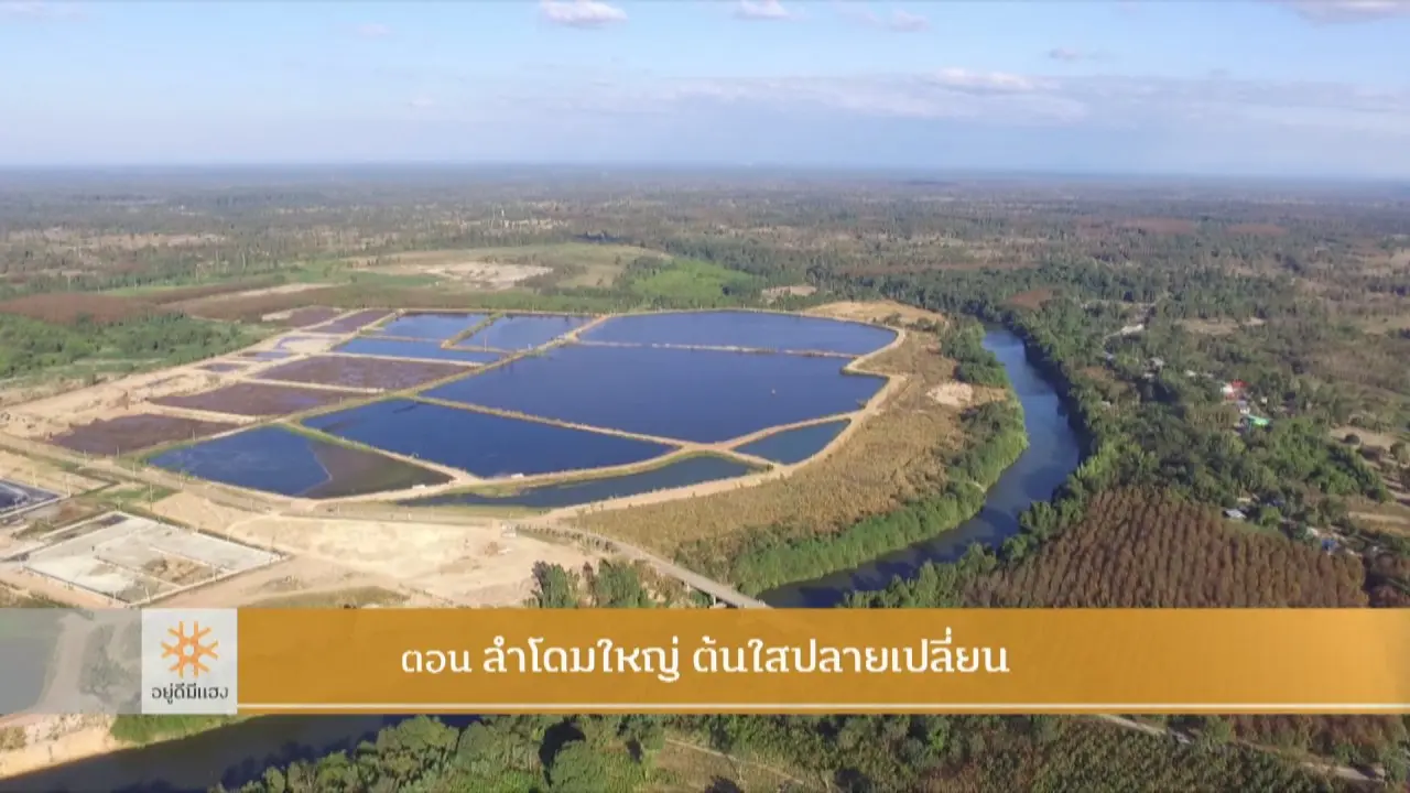 ลำโดมใหญ่ ต้นใสปลายเปลี่ยน​
