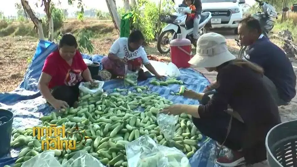 ประเด็นข่าว ( 21 ก.พ. 60)