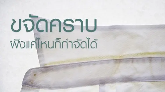 โรคชอบเก็บสะสมของ, ขจัดคราบเสื้อ ฝังแค่ไหนก็กำจัดได้, เมนูไก่ยำกบ