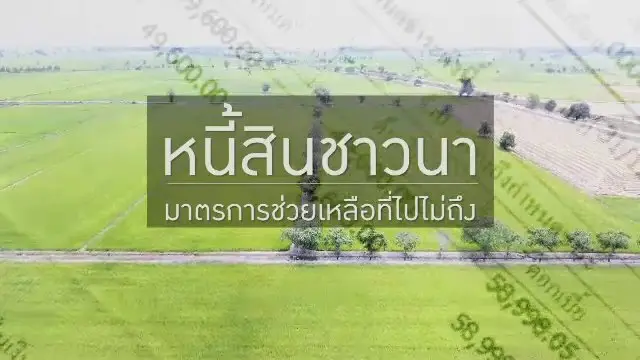 หนี้สินชาวนา มาตรการช่วยเหลือที่ไปไม่ถึง