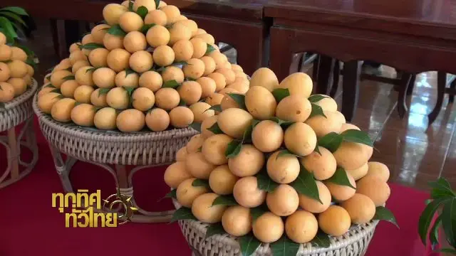 ประเด็นข่าว (9 มี.ค. 60)