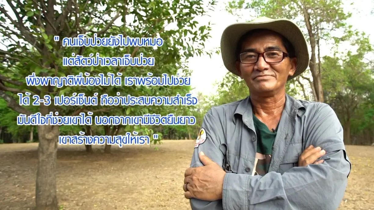 อาหมู / แหนมเห็ด