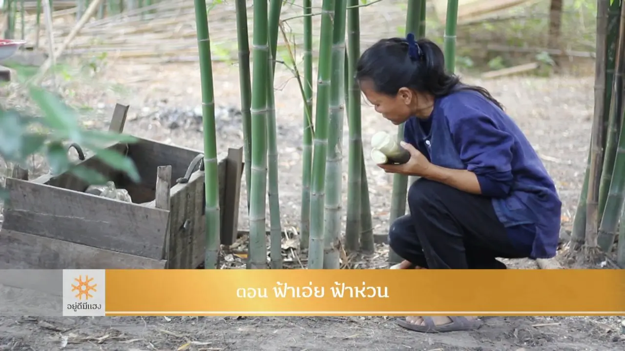 ฟ้าเอ่ย ฟ้าห่วน​