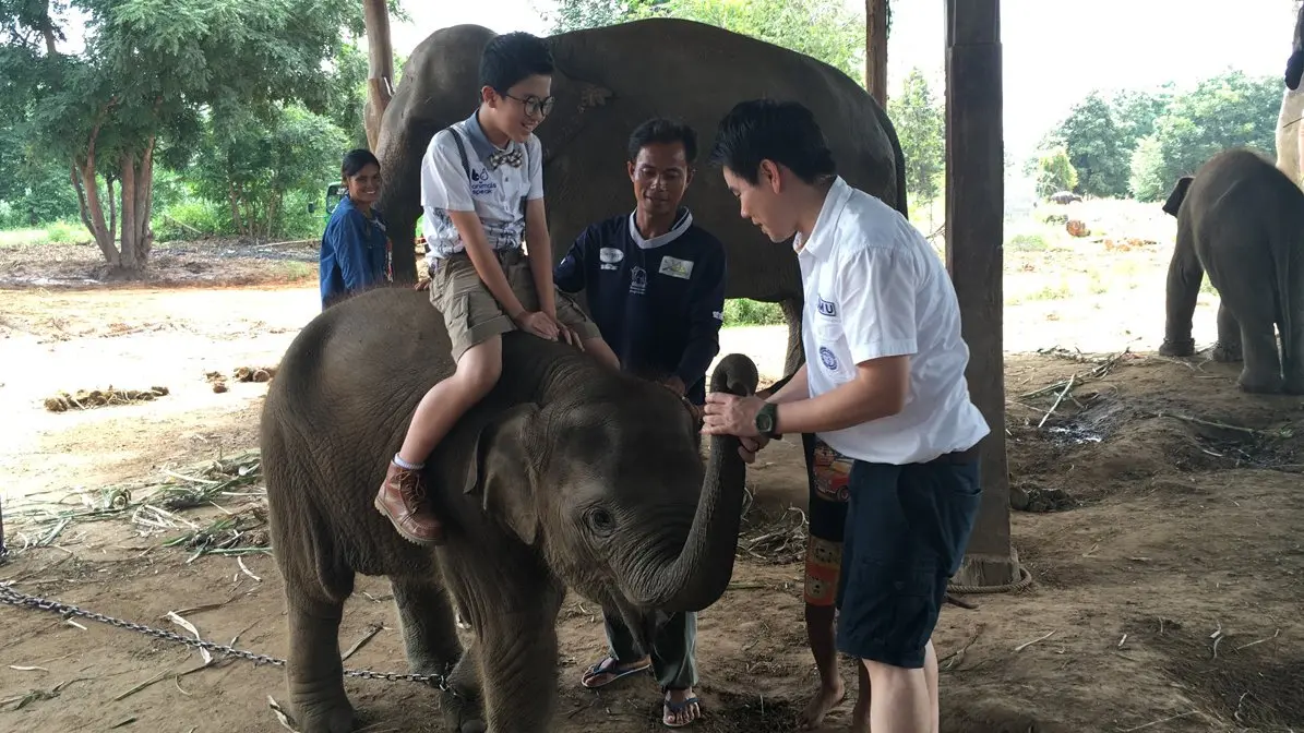 คนเลี้ยงช้าง...ความผูกพันจากรุ่นสู่รุ่น