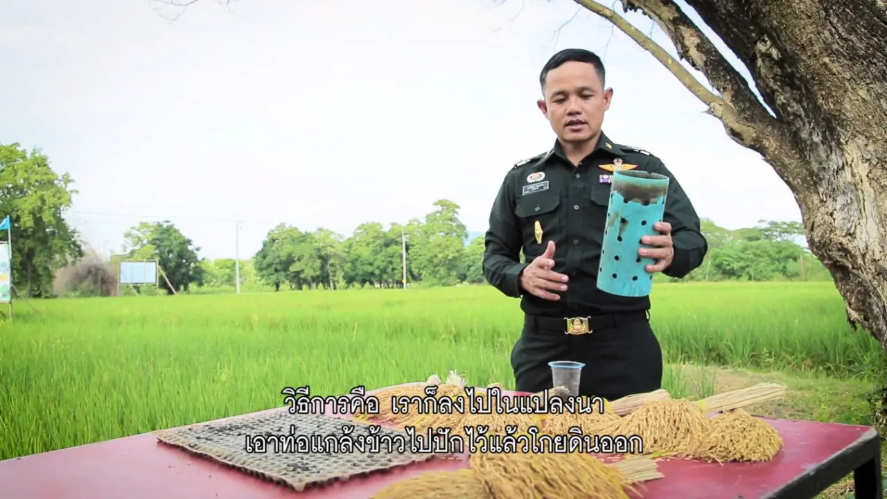 ลดต้นทุนเมล็ดข้าวและน้ำ