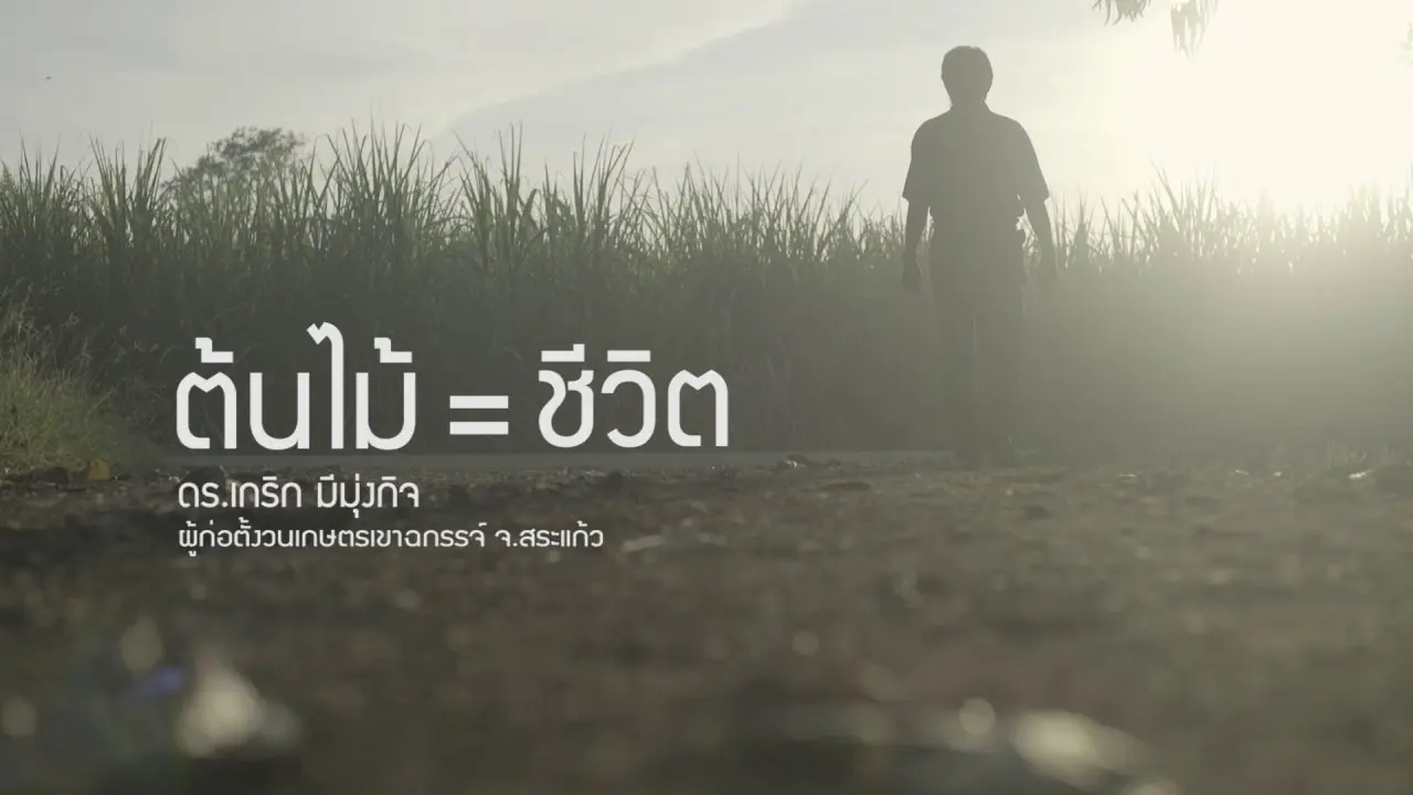 ปณิธานต้นไม้ : ต้นไม้ = ชีวิต