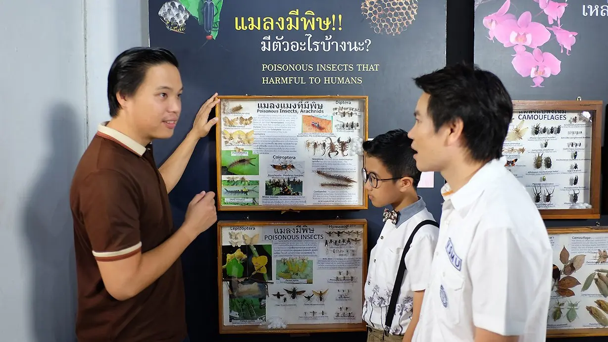 แมลงสัตว์มหัศจรรย์ ตอน 1