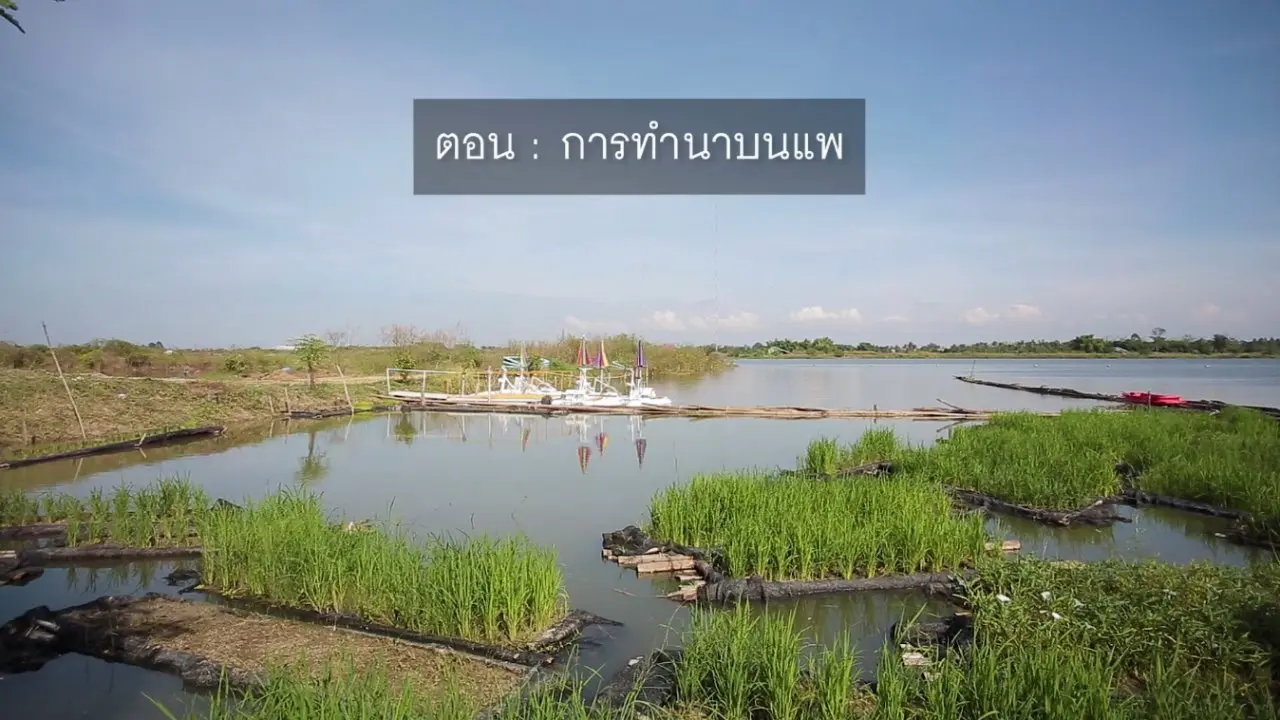 ​การทำนาบนแพ