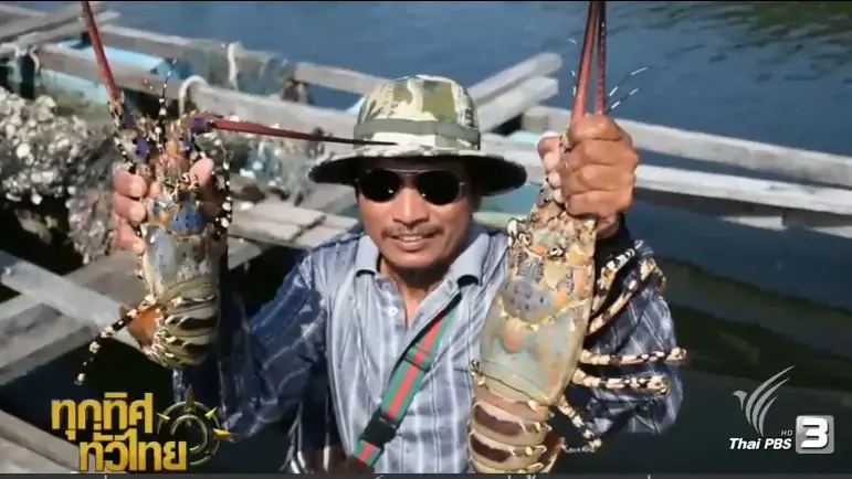 ประเด็นข่าว (27 ธ.ค. 59)