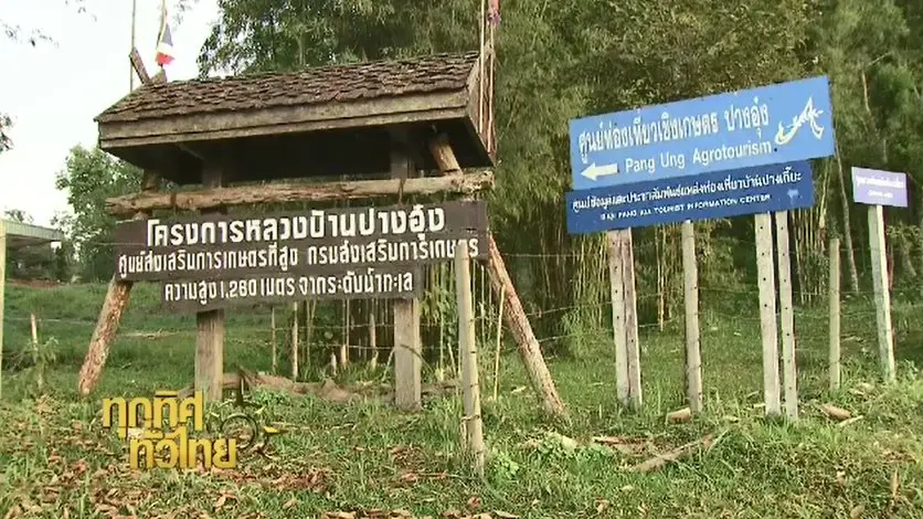 ทุกทิศทั่วไทย
