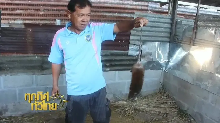 ประเด็นข่าว ( 5 ม.ค. 60)