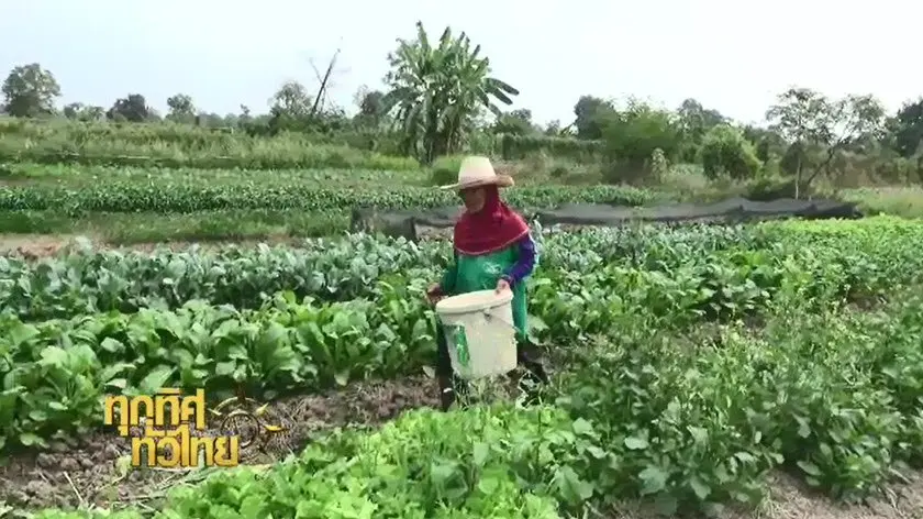 ประเด็นข่าว ( 16 ม.ค. 60)