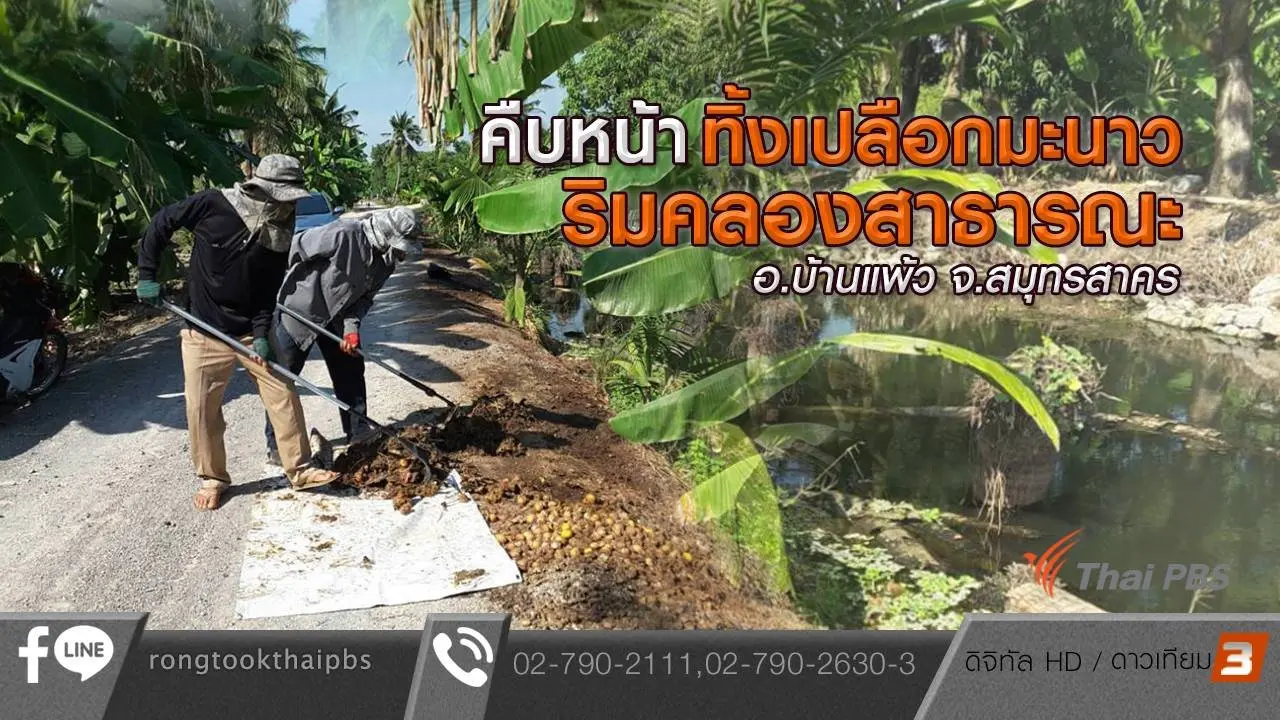 คืบหน้าทิ้งเปลือกมะนาวริมคลองสาธารณะ อ.บ้านแพ้ว จ.สมุทรสาคร