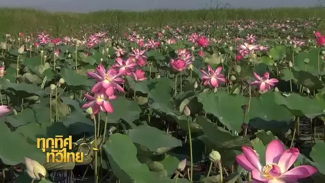ประเด็นข่าว (28 เม.ย. 60)