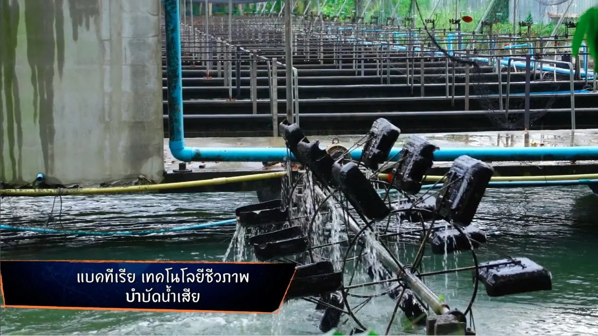 จุลินทรีย์บำบัดน้ำ