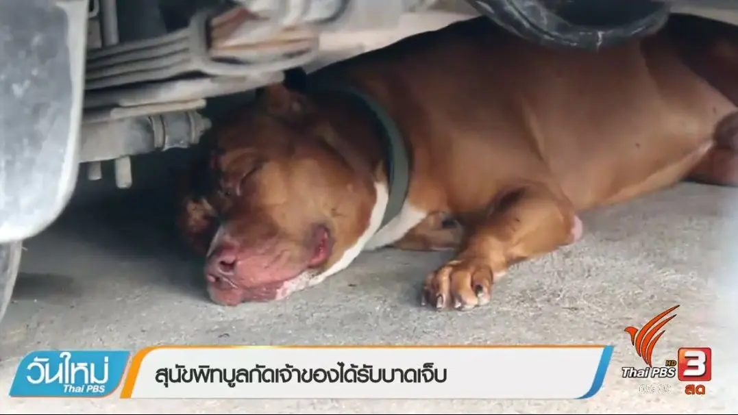 ประเด็นข่าว (8 พ.ค. 60)