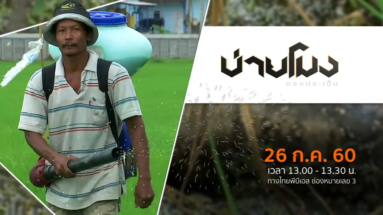 ประเด็นข่าว ( 26 ก.ค. 60)