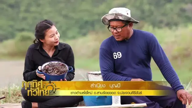 ทุกทิศทั่วไทย