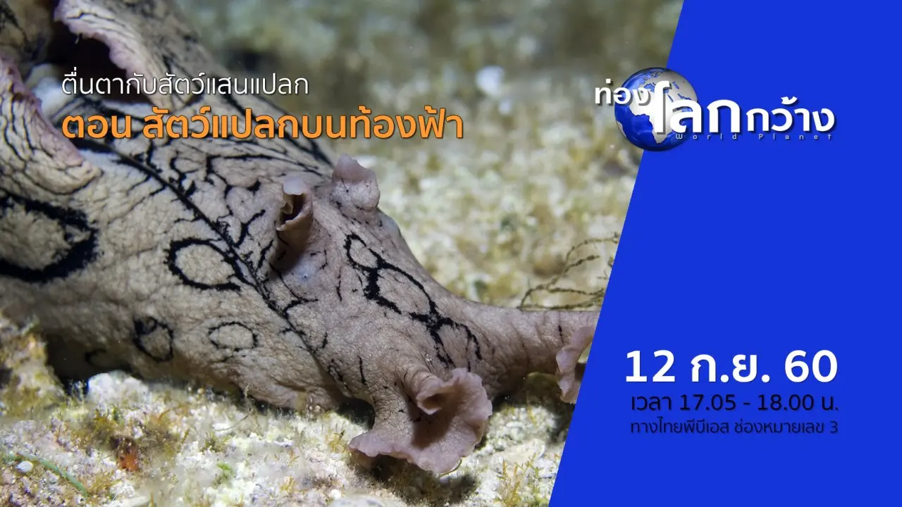 ตื่นตากับสัตว์แสนแปลก ตอน สัตว์แปลกบนท้องฟ้า