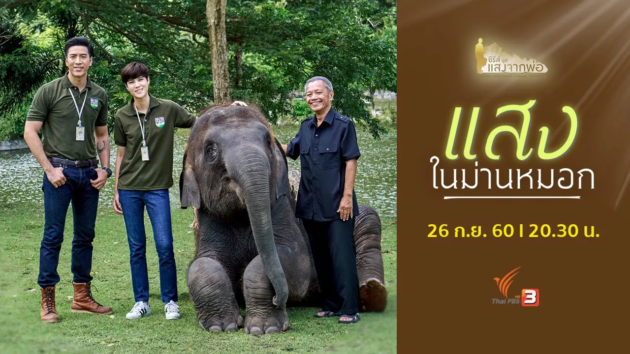 แสงในม่านหมอก