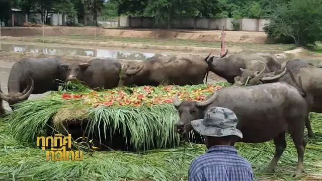 ประเด็นข่าว (16 พ.ค. 60)