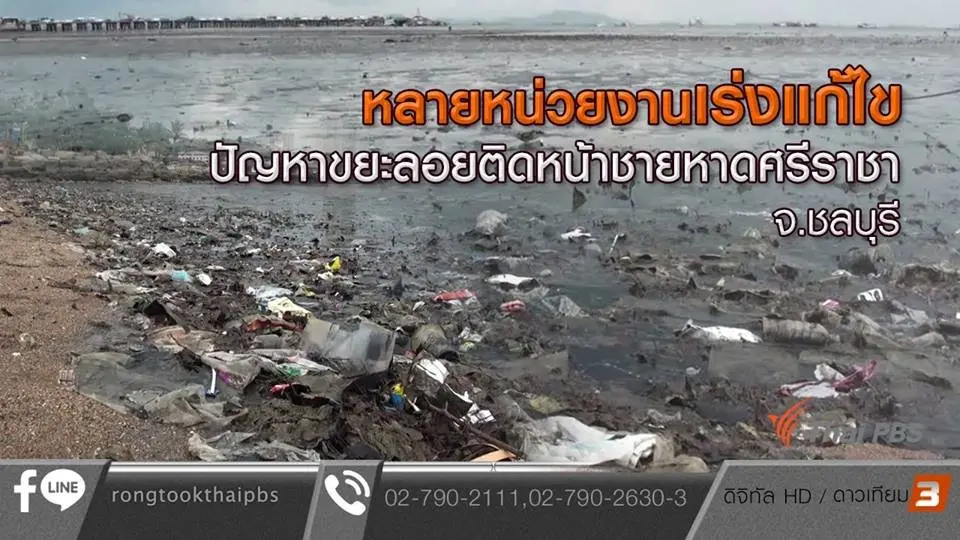 หลายหน่วยงานเร่งแก้ไขปัญหาขยะลอยติดหน้าชายหาดศรีราชา จ.ชลบุรี