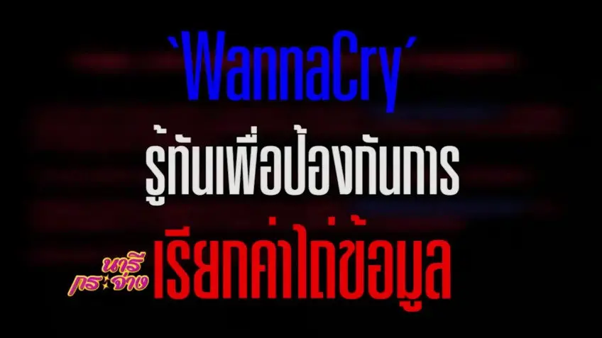 มัลแวร์ WannaCry, แก้ปวดเมื่อยด้วย "การขูดขิงน้ำมันไพล", เมนูผัดไทยกุ้งเสือใหญ่