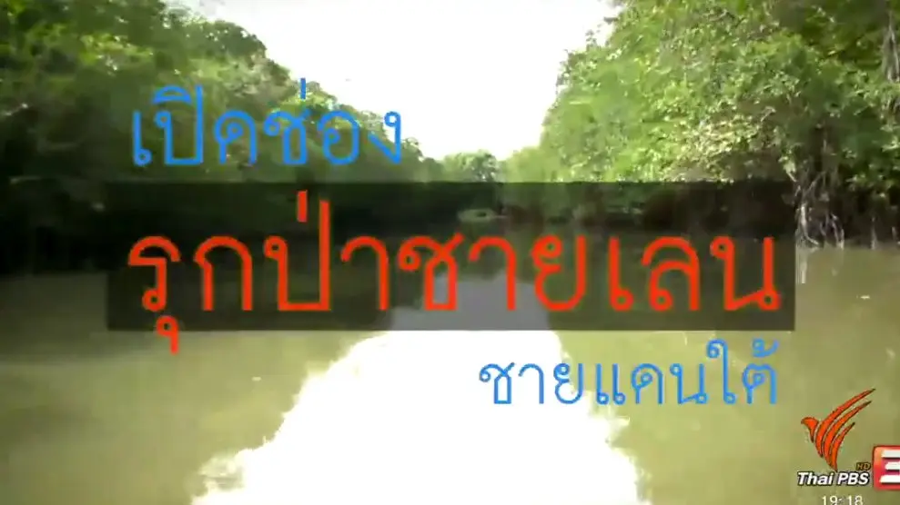 เปิดช่องรุกป่าชายแดนใต้