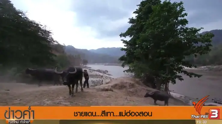 ประเด็นข่าว (28 พ.ค. 60)