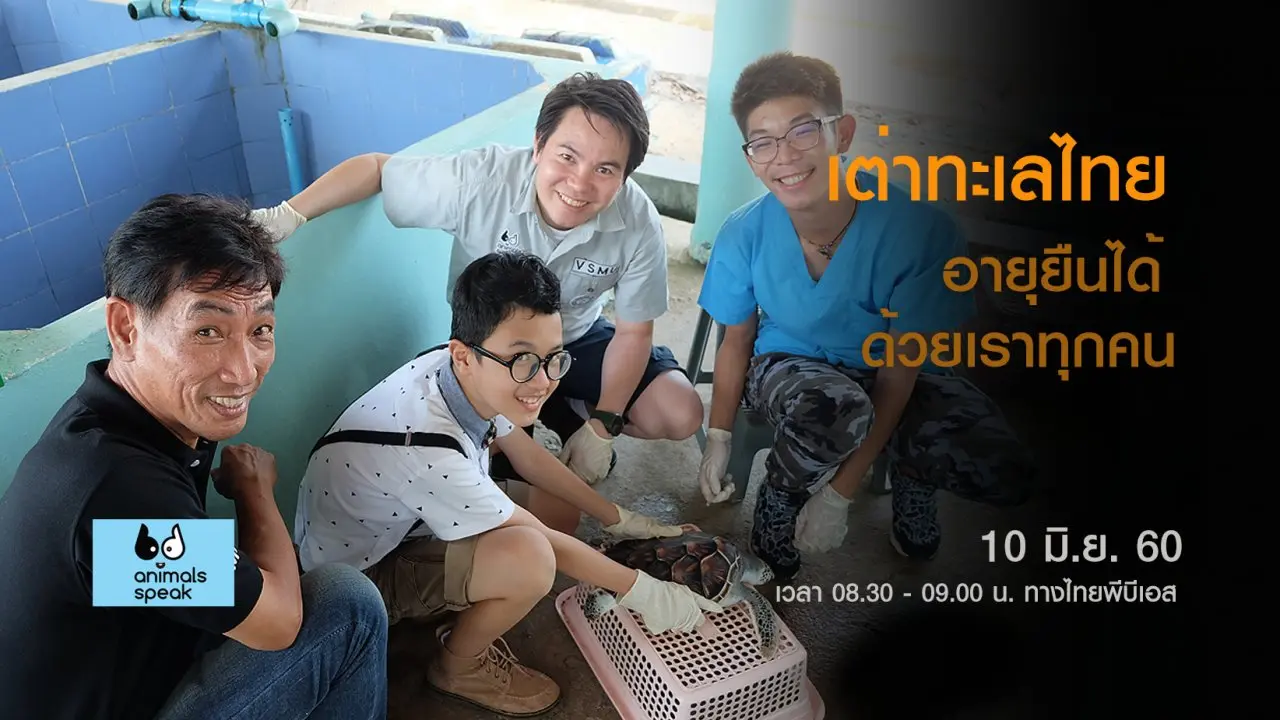 เต่าทะเลไทย อายุยืนได้ด้วยเราทุกคน