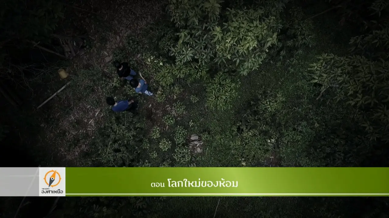 โลกใหม่ของห้อม