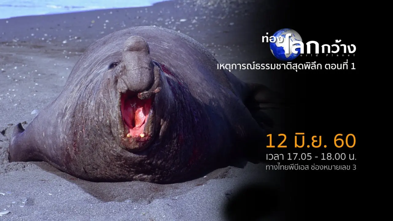 เหตุการณ์ธรรมชาติสุดพิลึก ตอนที่ 1