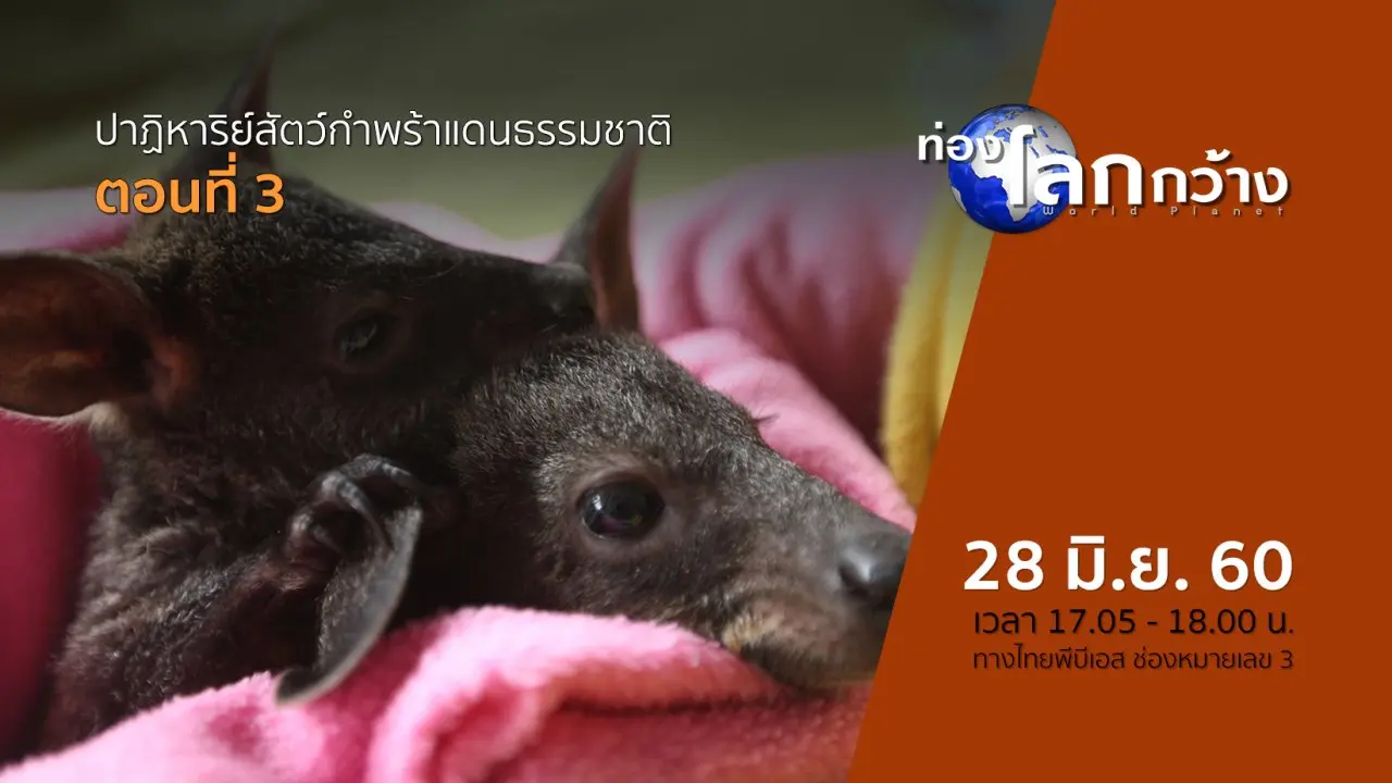 ปาฏิหาริย์สัตว์กำพร้าแดนธรรมชาติ ตอนที่ 3