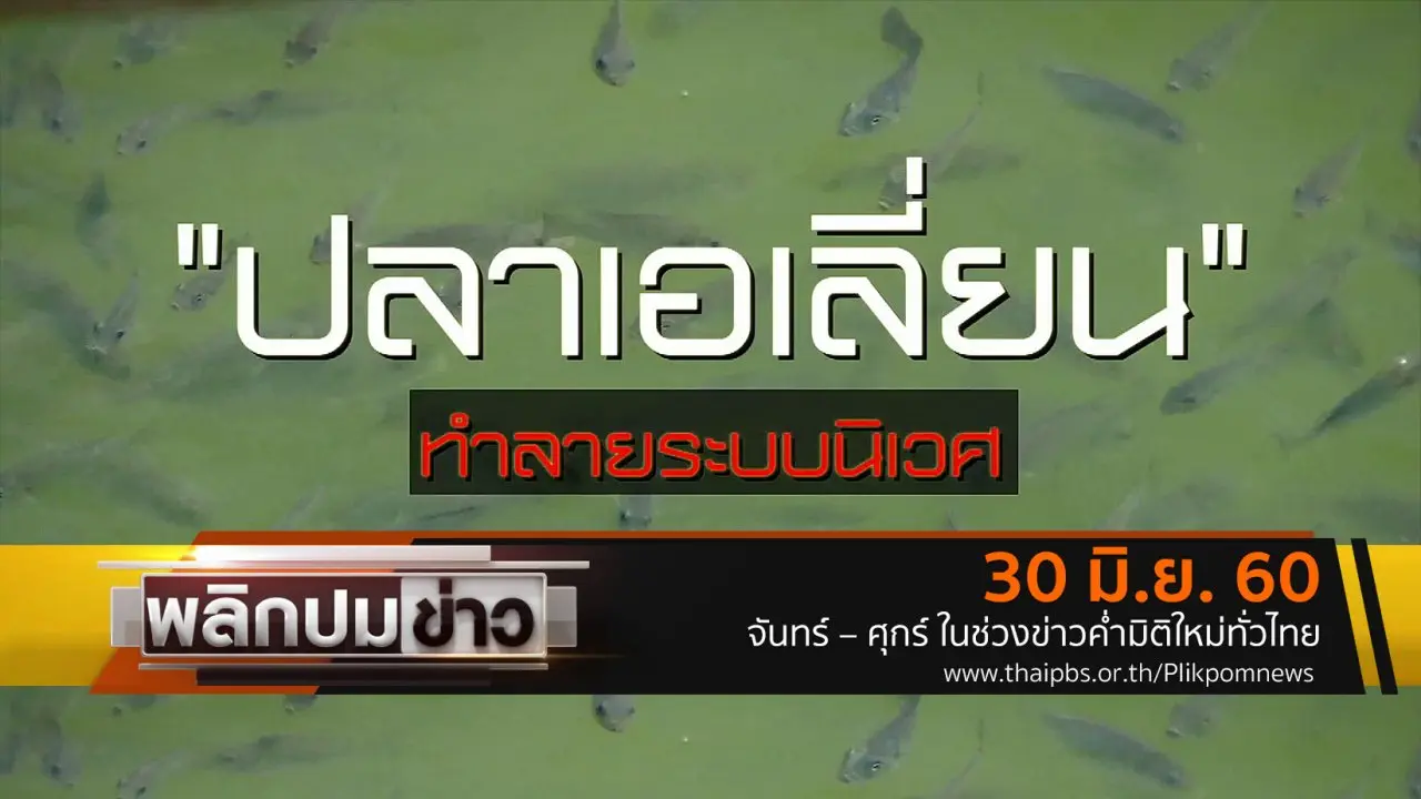 ปลาเอเลี่ยน ทำลายระบบนิเวศ