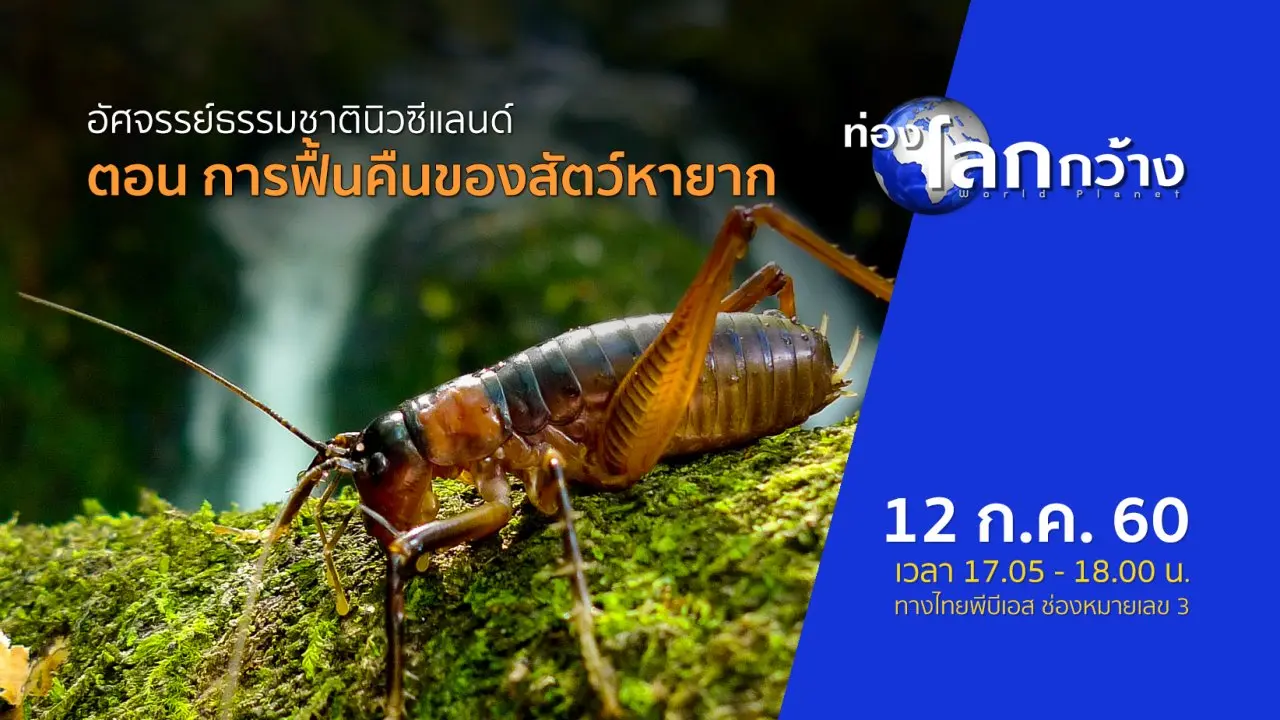 อัศจรรย์ธรรมชาตินิวซีแลนด์ ตอน การฟื้นคืนของสัตว์หายาก
