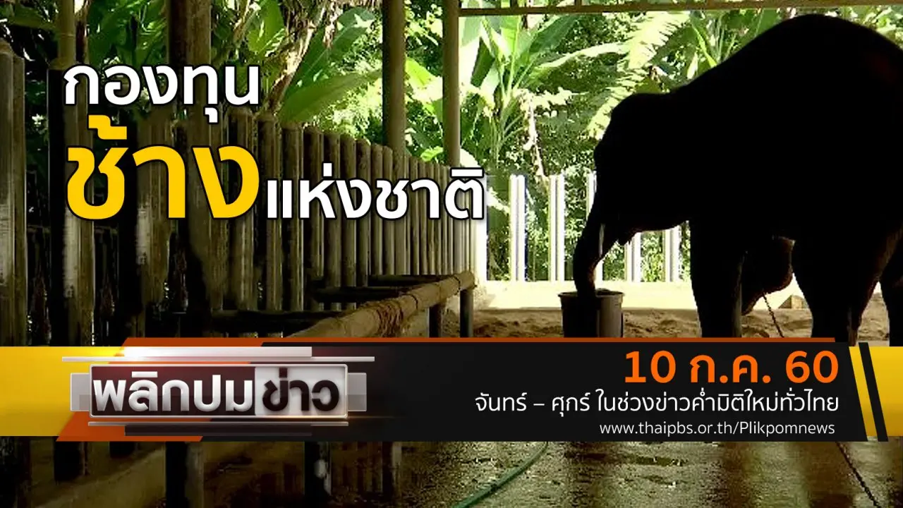 กองทุนช้างแห่งชาติ