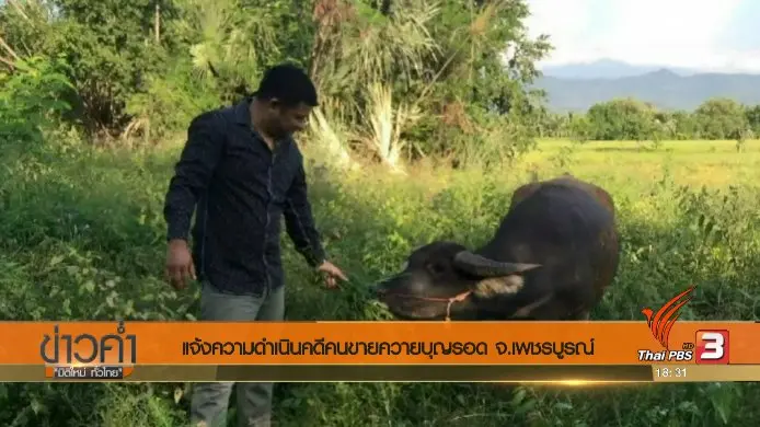 ประเด็นข่าว (20 ก.ค. 60)