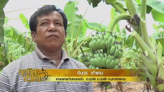 ประเด็นข่าว (19 ต.ค. 60)