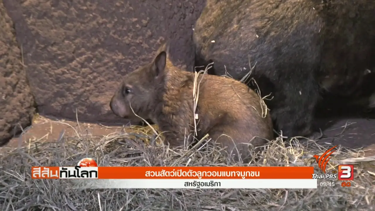 ประเด็นข่าว (28 ต.ค. 60)