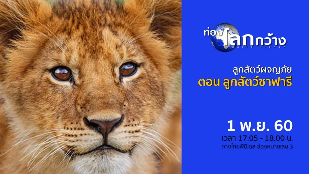 ลูกสัตว์ผจญภัย ตอน ลูกสัตว์ซาฟารี