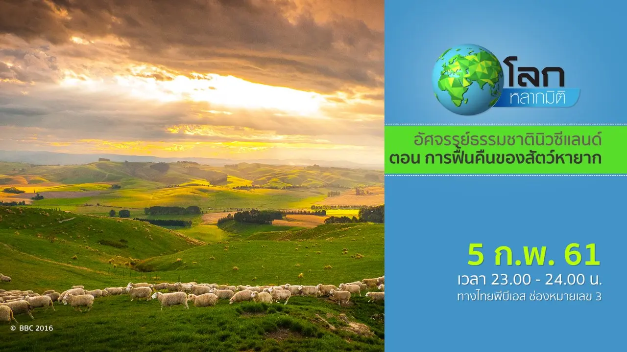 อัศจรรย์ธรรมชาตินิวซีแลนด์ ตอน การฟื้นคืนของสัตว์หายาก