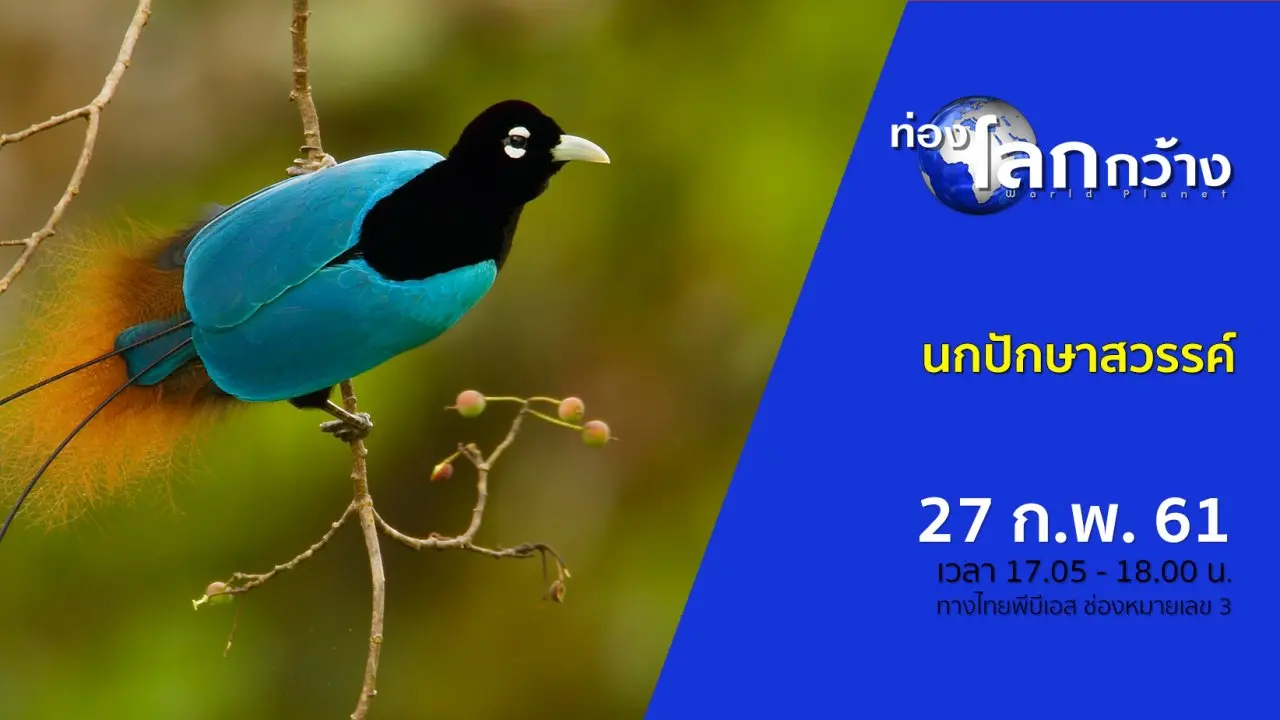 นกปักษาสวรรค์
